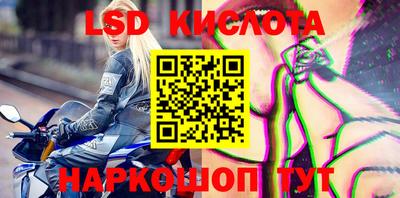 сатива Будённовск