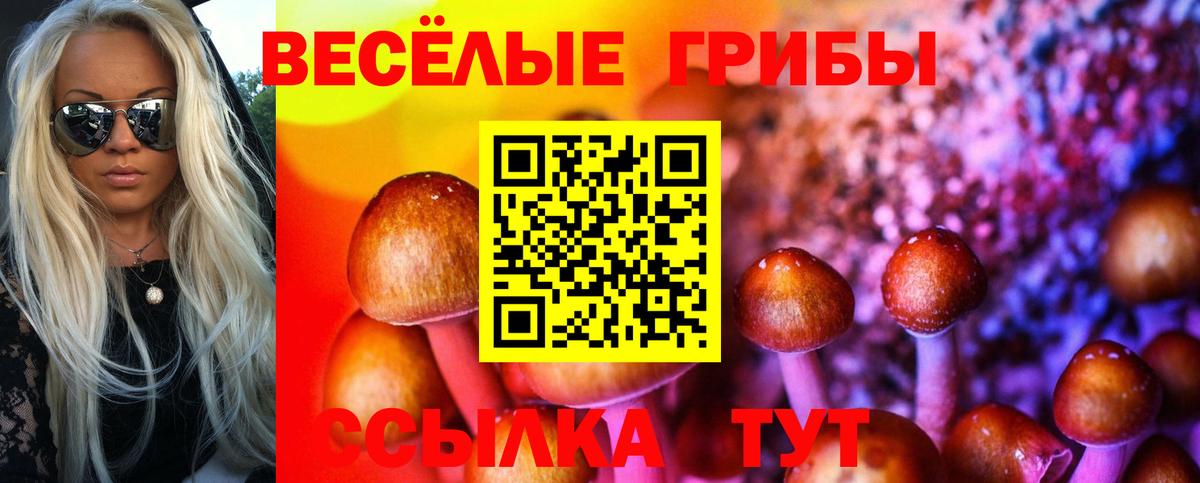 Галлюциногенные грибы мухоморы  Псилоцибиновые грибы Psilocybine cubensis  Вход с VPN  Великий Новгород 